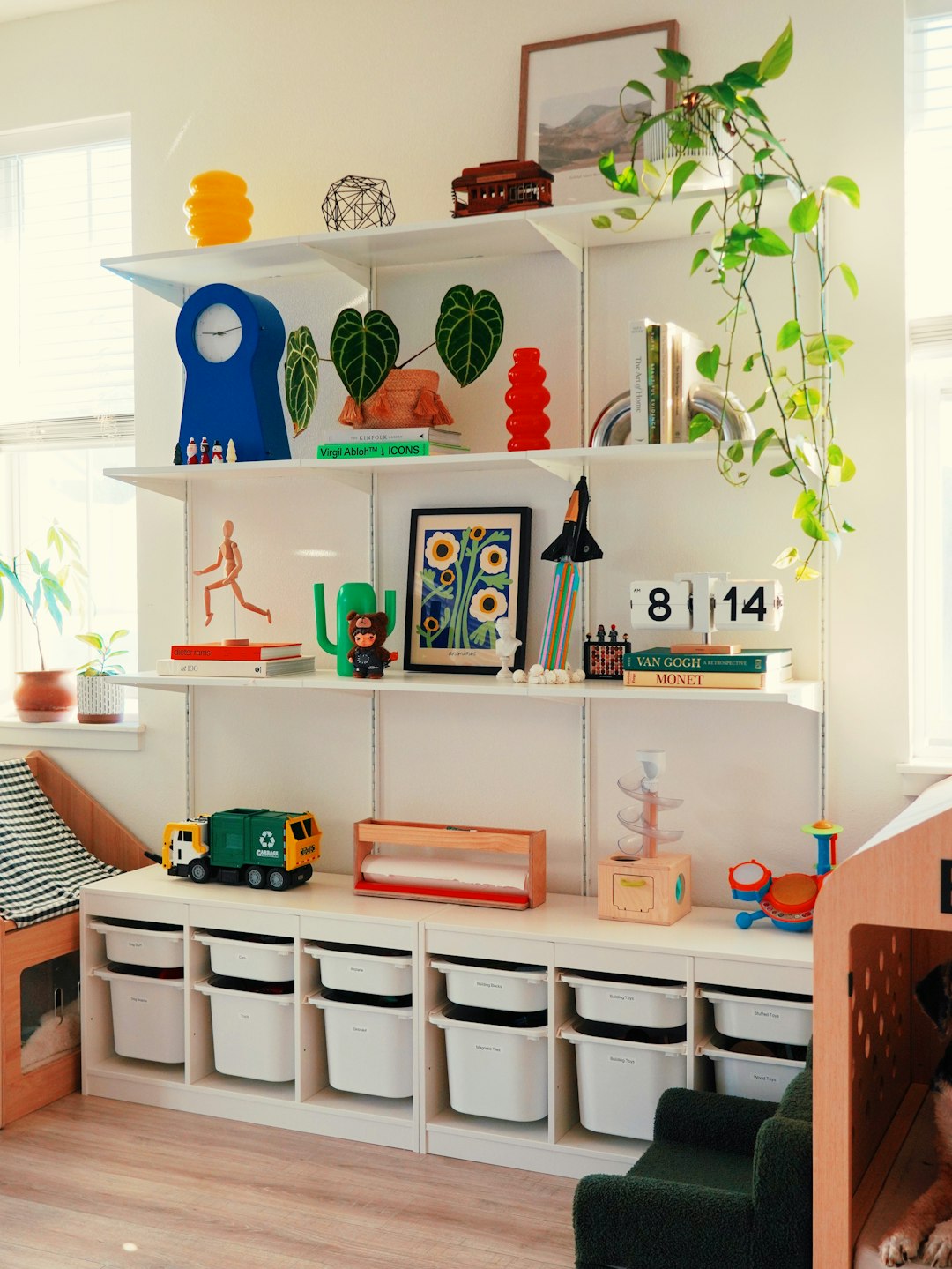 shelves-filled-with-books-plants-and-decorative-items-2xaauvto5ys